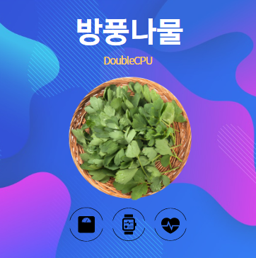 방풍나물 알아보기