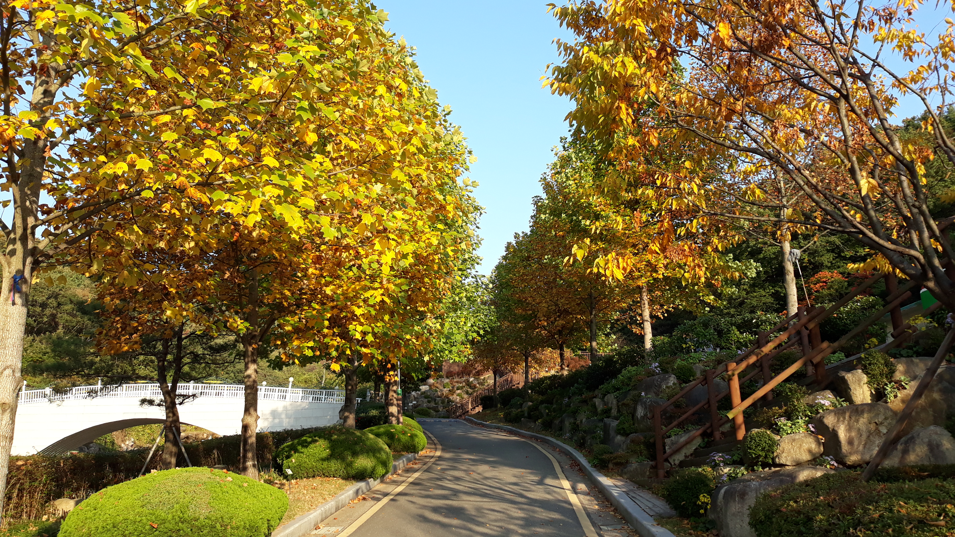 추천 부산 단풍명소 BEST 08 가을 부산 여행