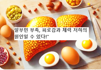 알부민이 부족하면 몸에 무슨 일이 생길까? 증상부터 해결법까지