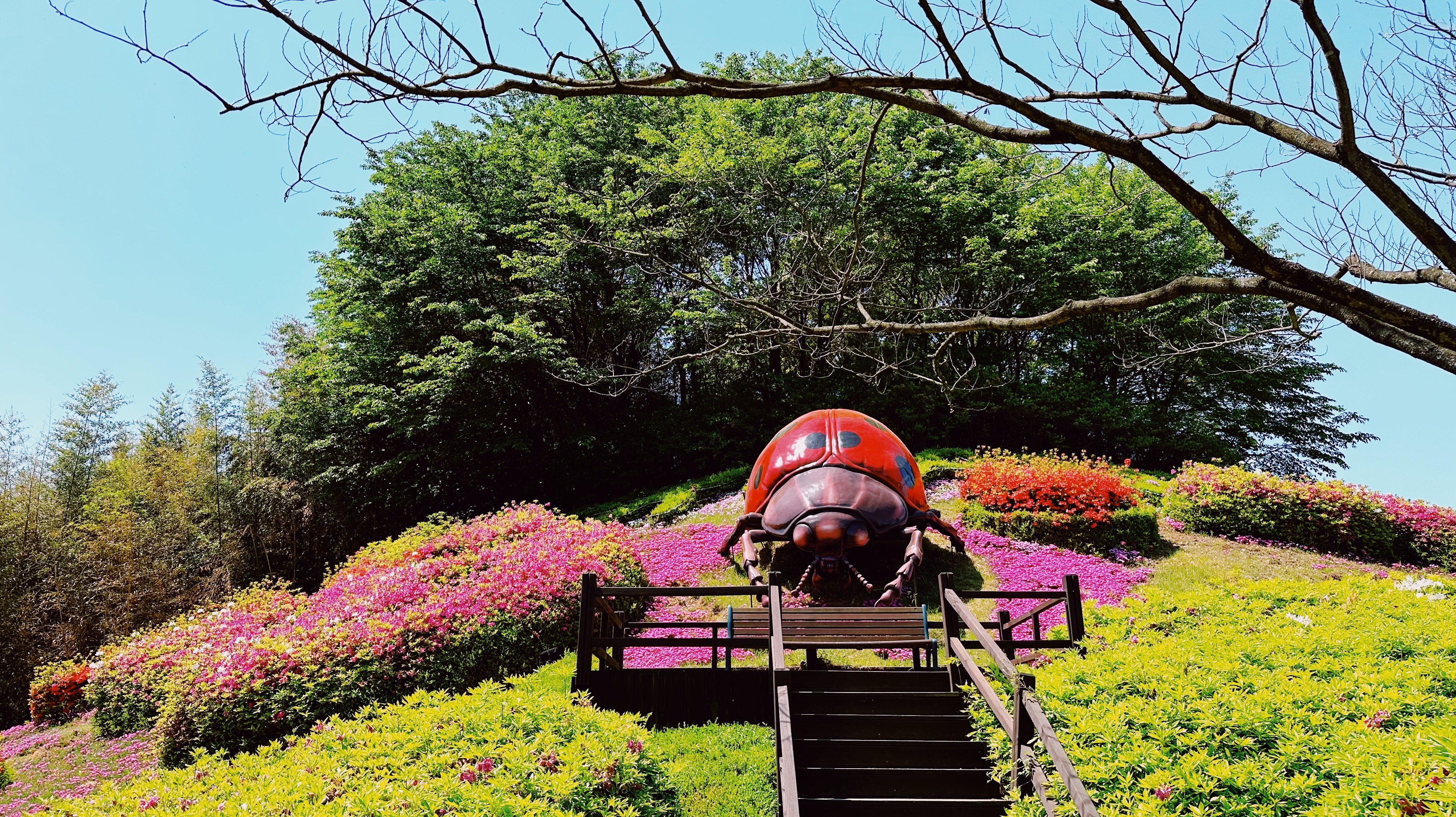 오월드 플라워 랜드