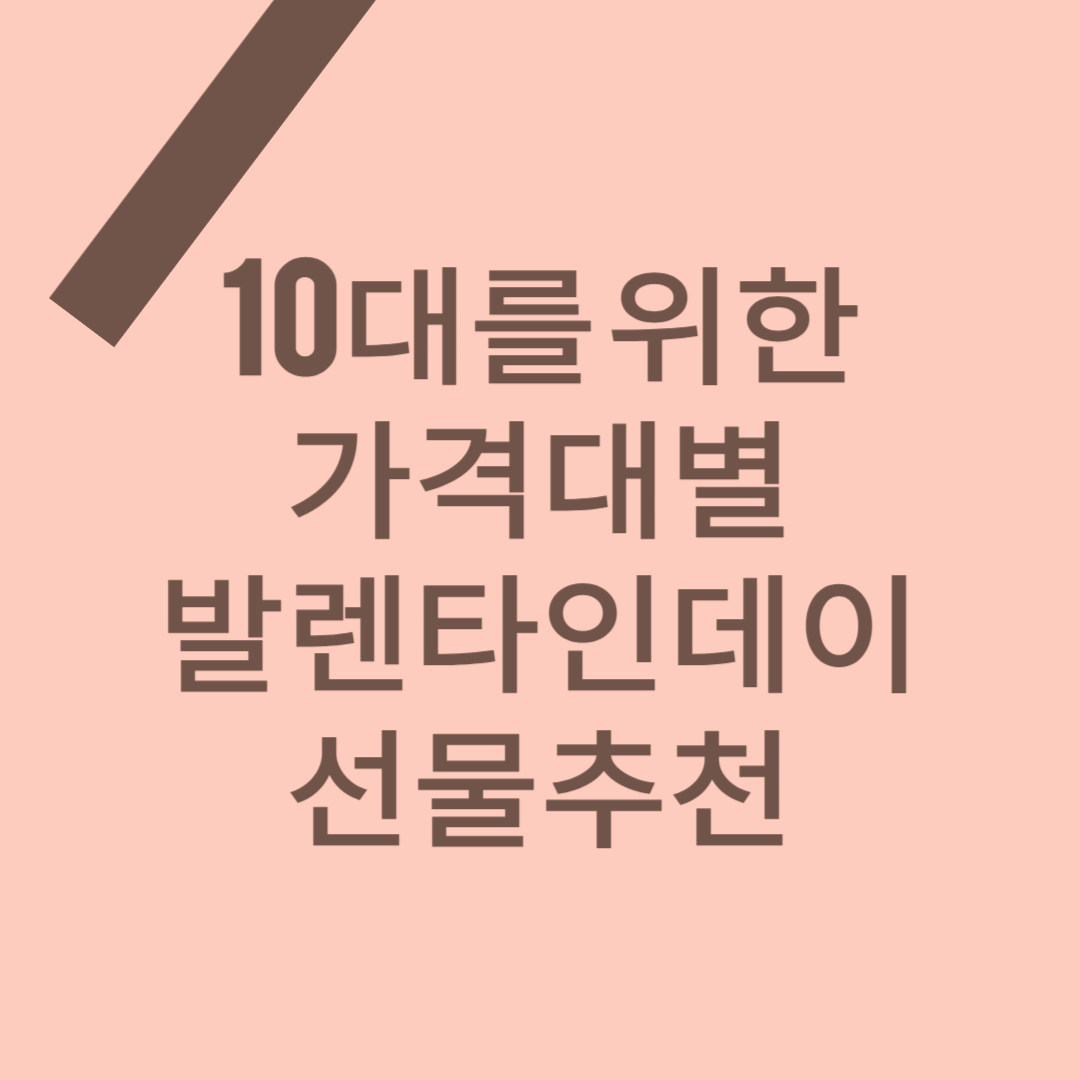 10대 발렌타인데이 가격대별 선물추천