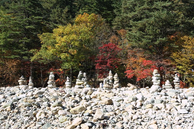 돌담