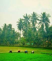 2024 공익직불제 신청방법 및 신청기간 혜택 총정리
