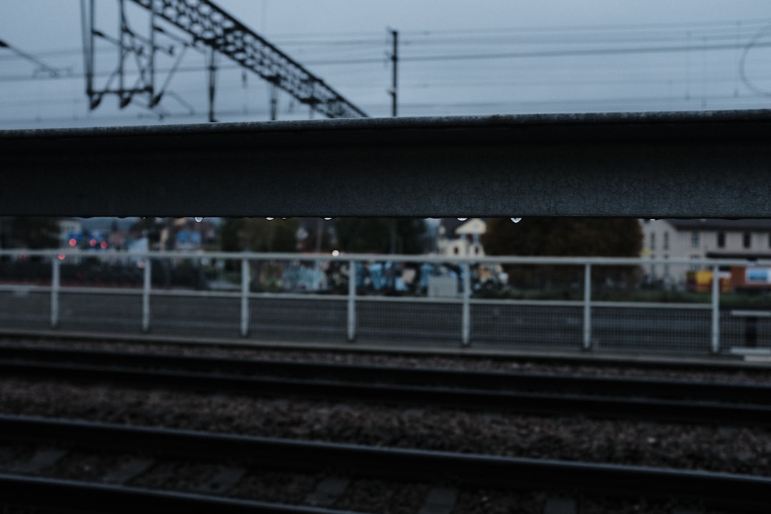 Users