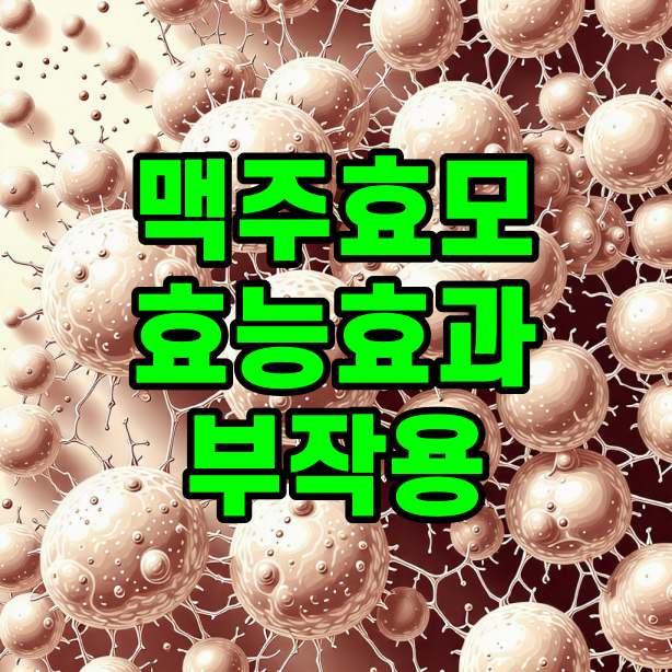 맥주 효모 효능 효과 부작용 총정리