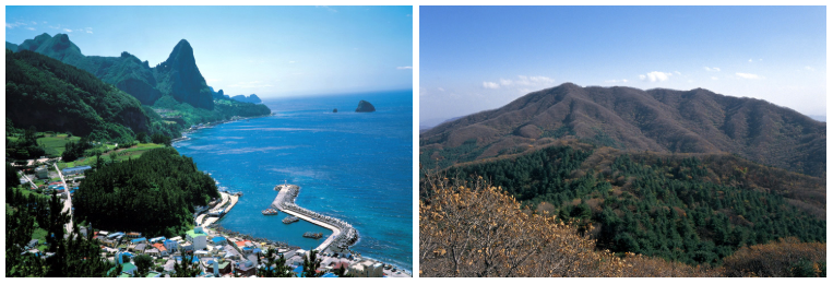 성인봉 과 축령산 소개 사진