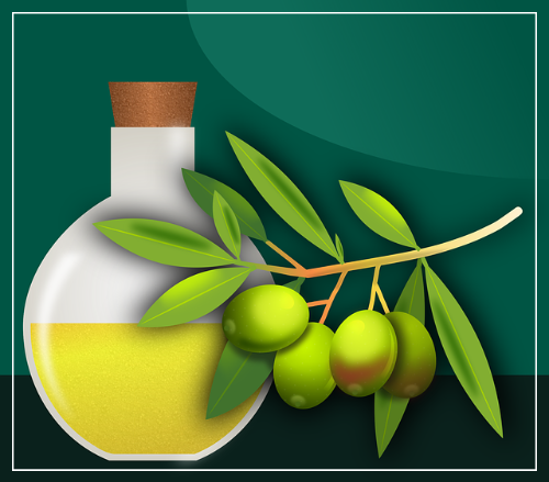올리브오일 영양 성분