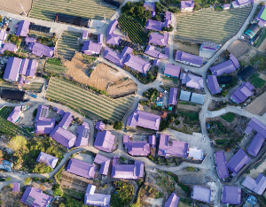 이색 여행지 BEST 4