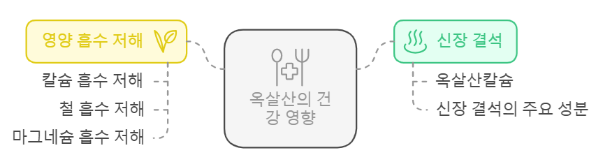 옥살산의 건강 영향