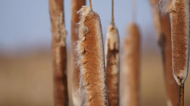 Jason Mraz Have It All 듣기가사해석으로 정리_1