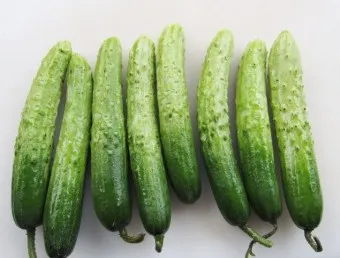 nv_오이 칼로리_16