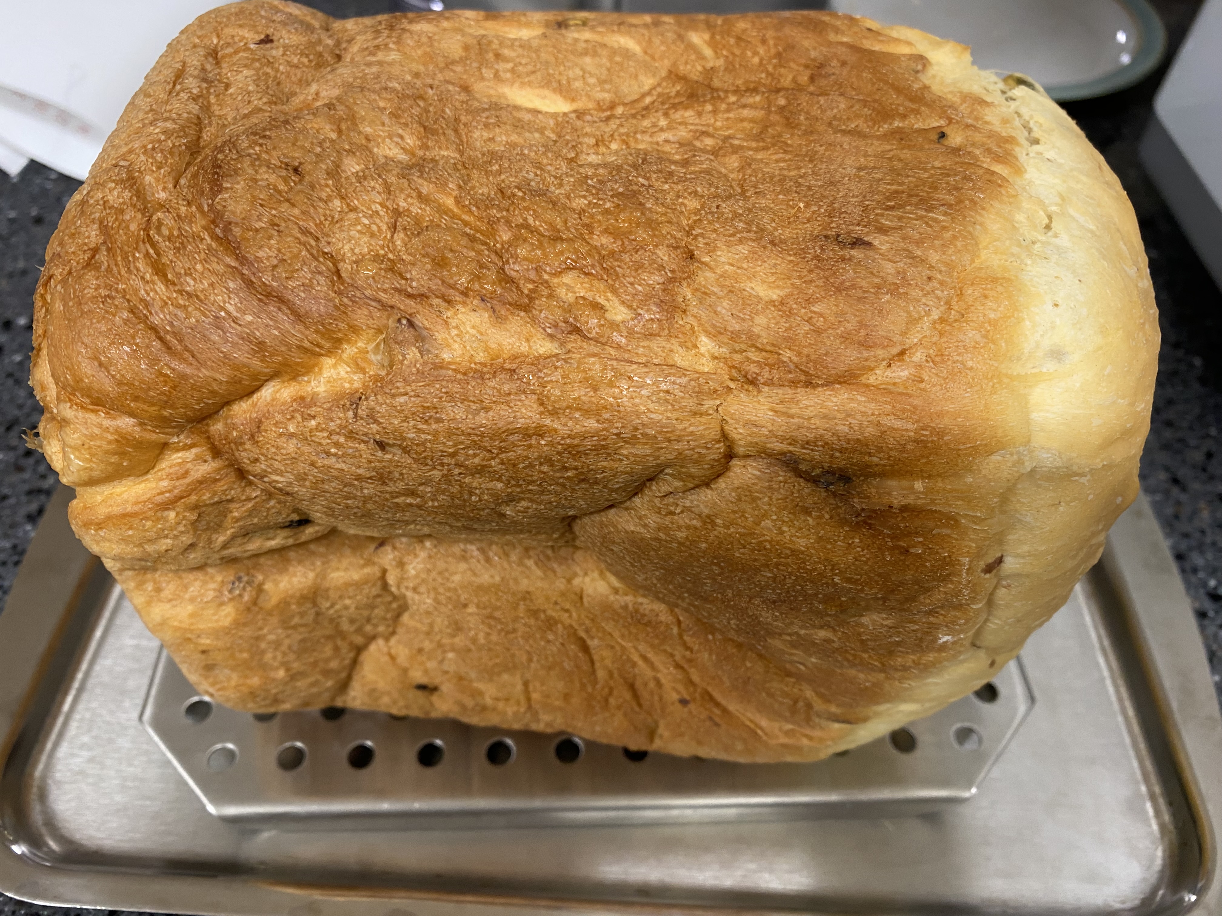 제빵기에서 발효되고 구워진 통밀빵