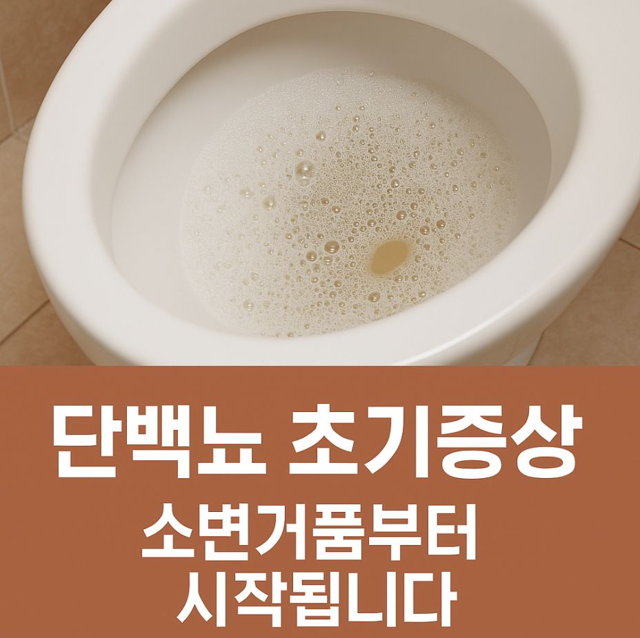 단백뇨 초기증상, 소변거품부터 시작됩니다