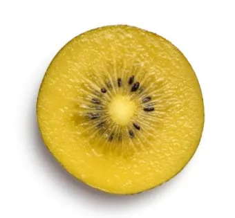 골드키위 효능 부작용_23