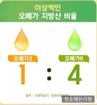 뇌건강 오메가3 DHA EP A 비율 최적화 치매 예방 완벽 가이드로 섭취비법_6