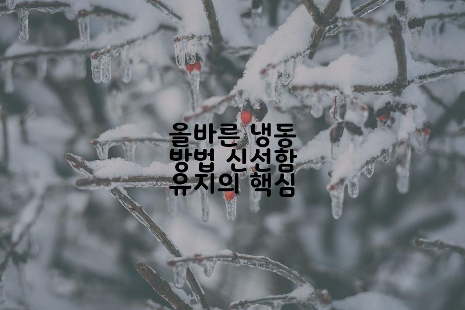 올바른 냉동 방법 신선함 유지의 핵심