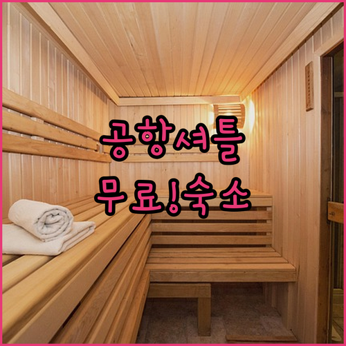 공항 셔틀 무료인 파나마 다비드 가성..