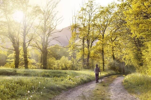 실내운동 걷기 추천 운동