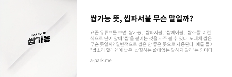 쌉가능 뜻 풀이