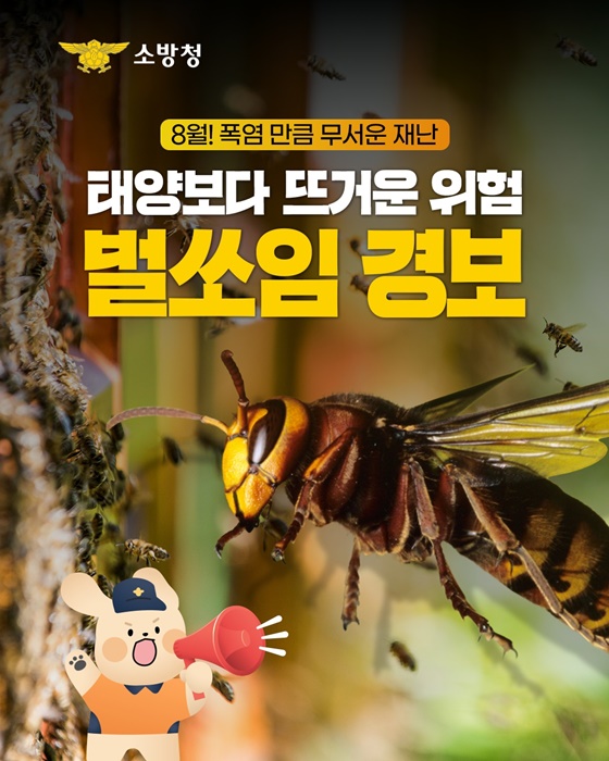 벌쏘임 벌집제거 행동요령 응급대처법 벌침제거법 8월벌쏘임 알레르기응급 소방청통계