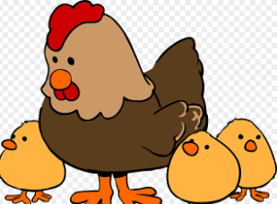 닭띠 2025년 운세