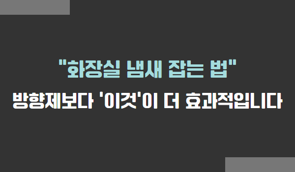 화장실 냄새 잡는 법, 화장실 악취 제거 방법