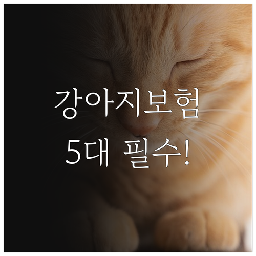강아지 보험 가입 전 알아야 할 5가..