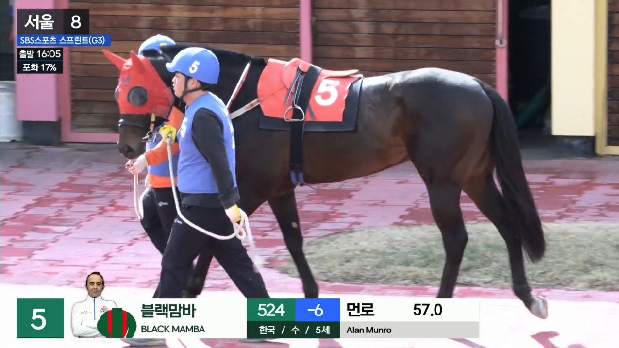 블랙맘바