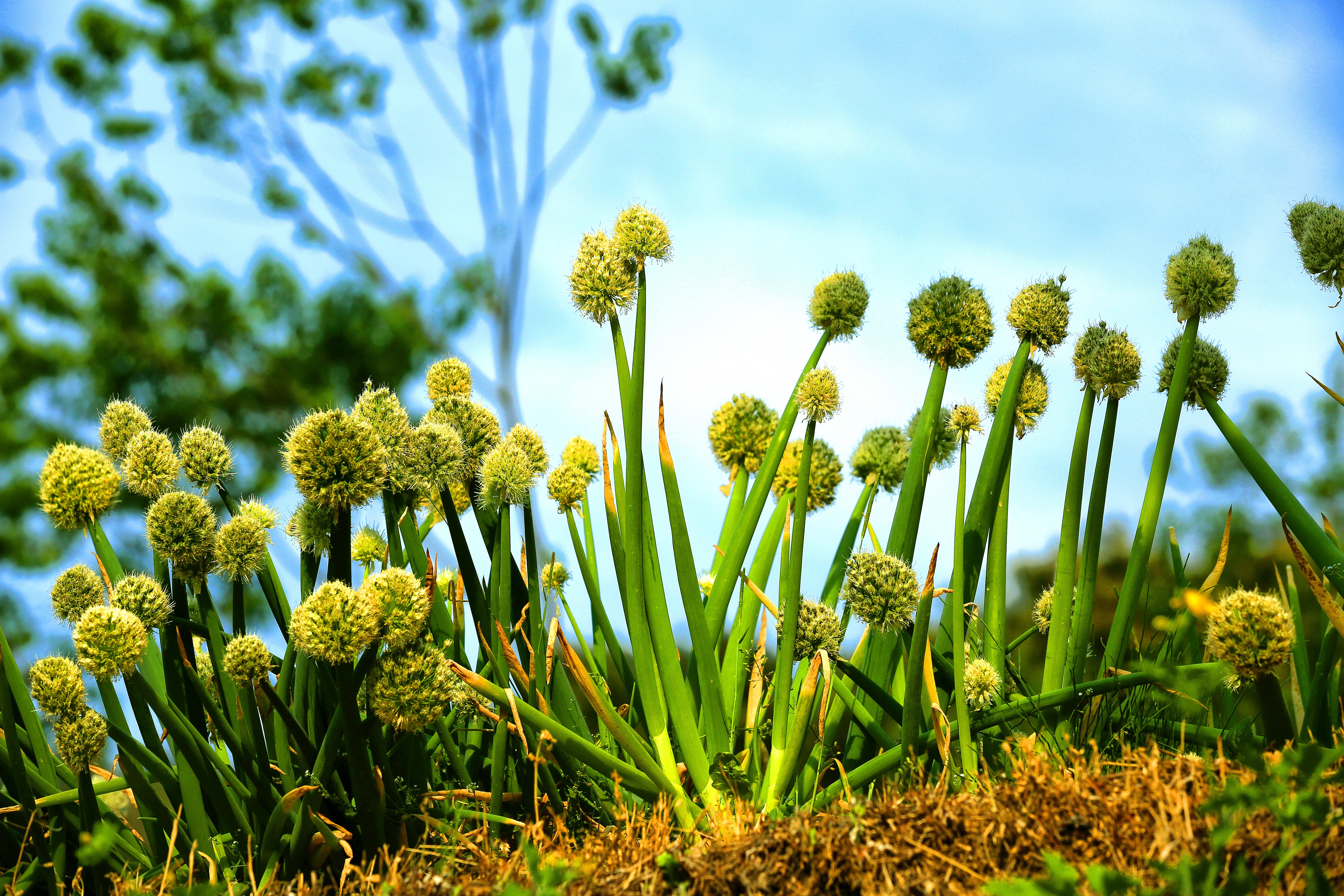 순천만습지 자전거 대여장소