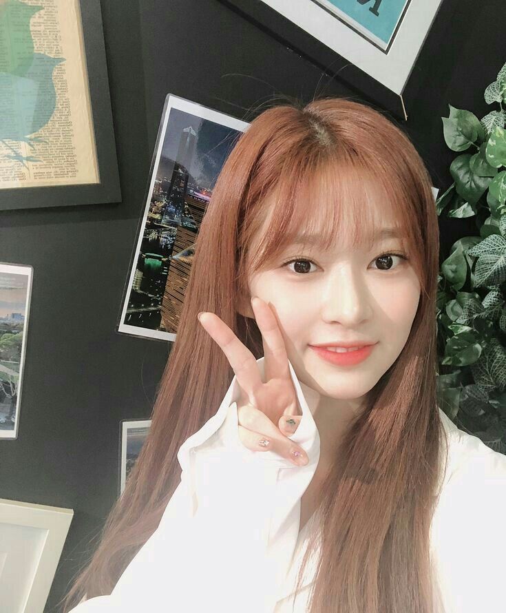 아이즈원 김민주 최애사진