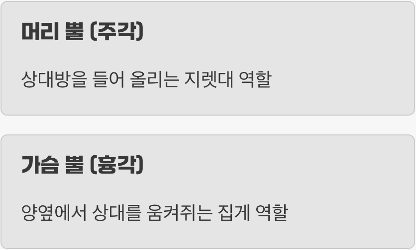 곤충계의 삼지창, 완벽한 무기