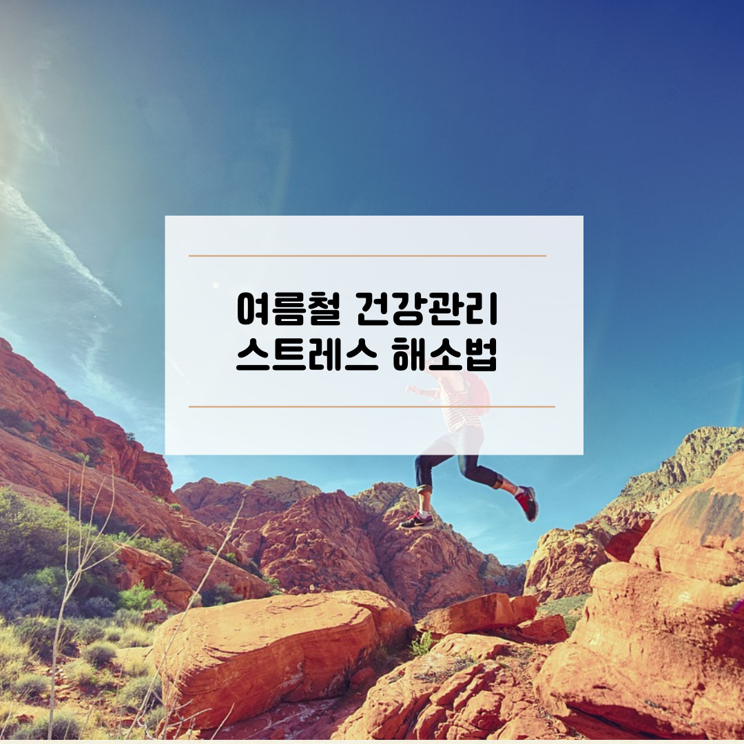 스트레스 해소법