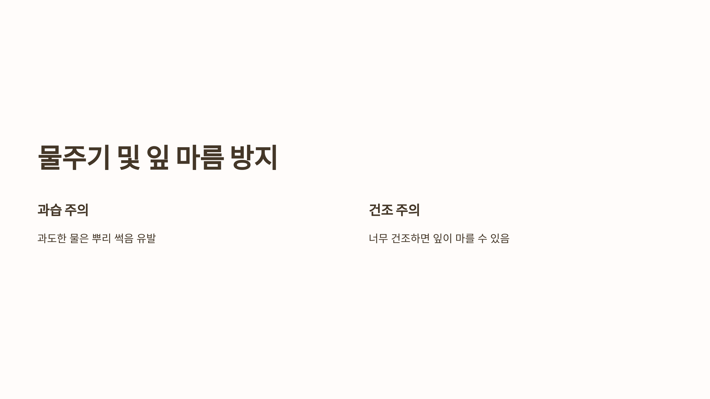 스파티필름과 관련된 사진입니다.