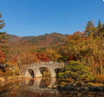 2024 단풍 시기(지역별) 및 단풍 명소 추천