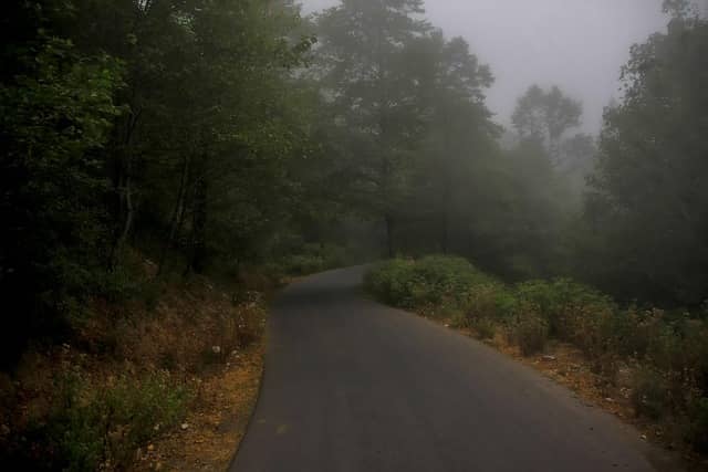장건강에서 장내미생물과 우울증 관계