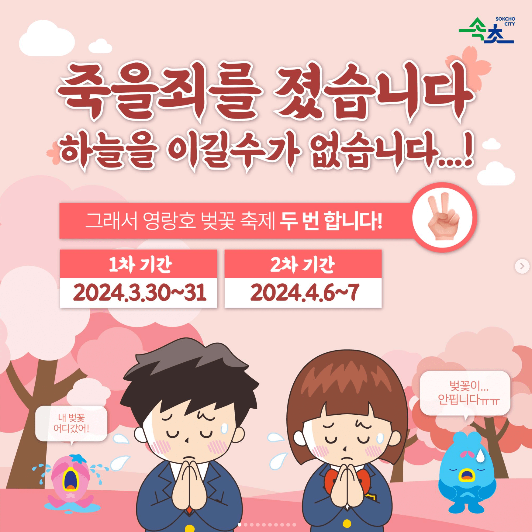 2024 영랑호 벚꽃축제 2차 4월6일 속초 벚꽃축제 재시작합니다.