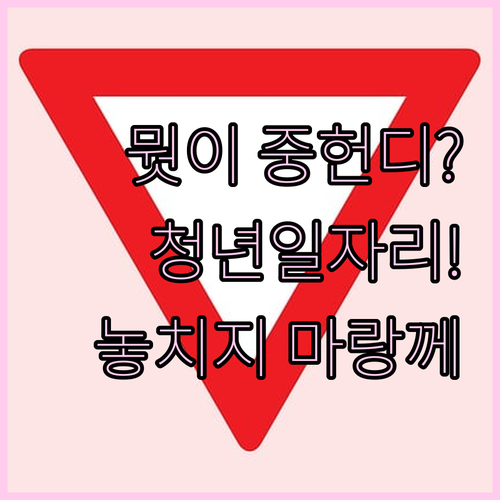 뭣이 중헌디? 바로 청년일자리! 정부..