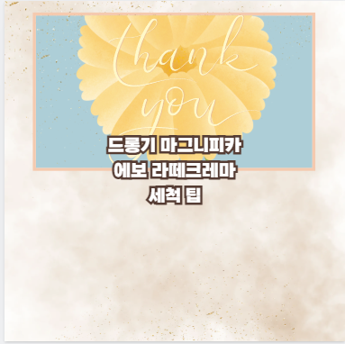 드롱기 마그니피카 에보 라떼크레마 세척 팁