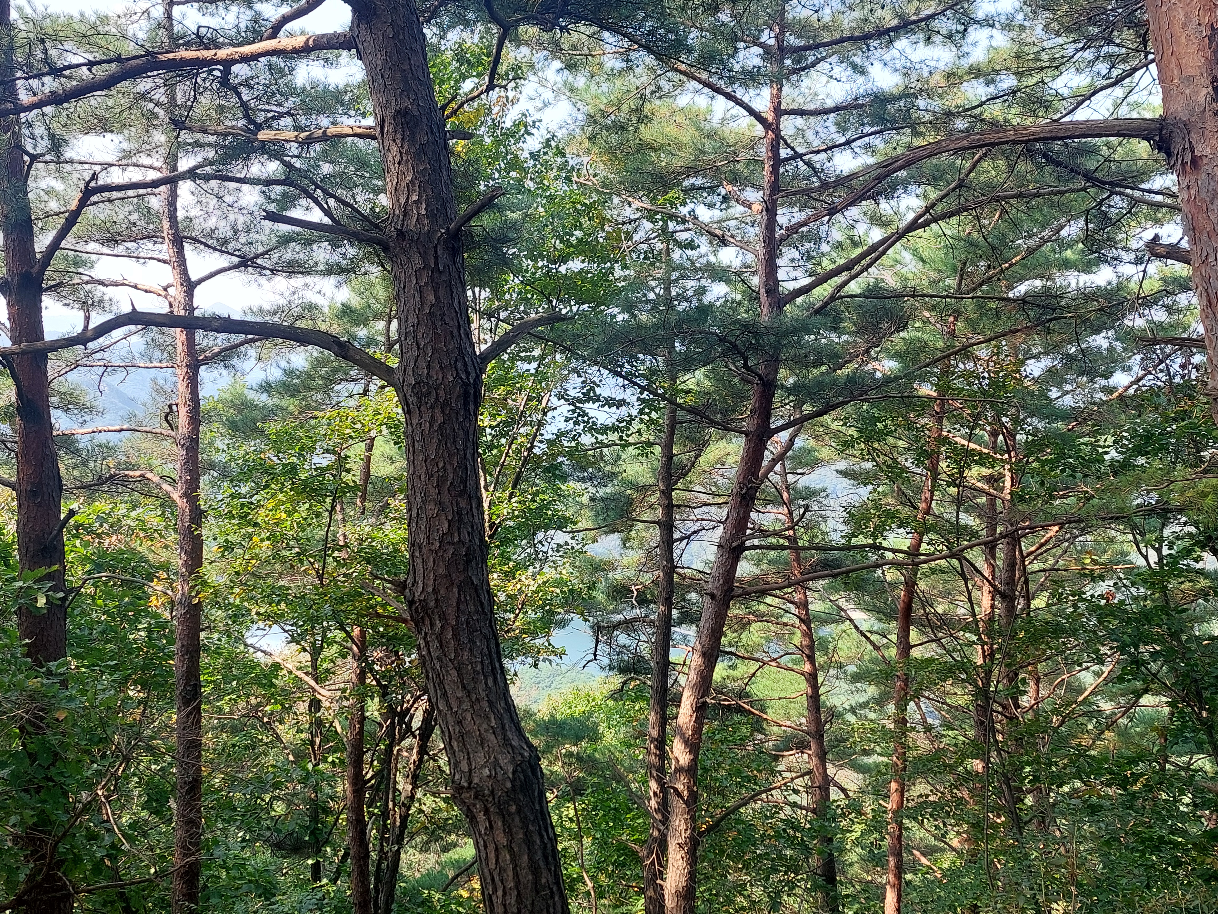 명성산