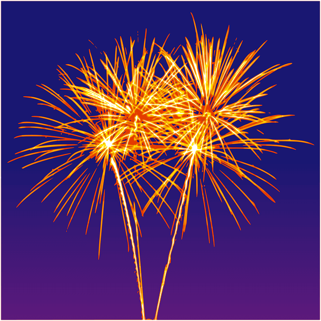 2024 서울 세계 불꽃 축제 / 2024 한강 불꽃 축제 / 여의도 불꽃 축제 티켓 예매 및 골든 티켓 이벤트
