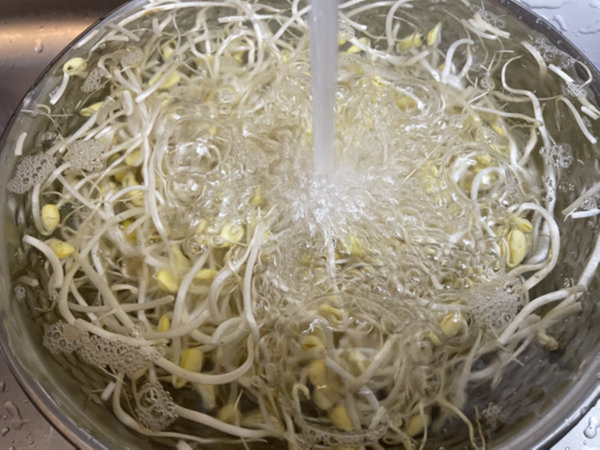 콩나물 무침 맛있게 만드는법 - 세척