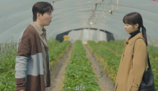 미지의 서울 11회 줄거리(19)