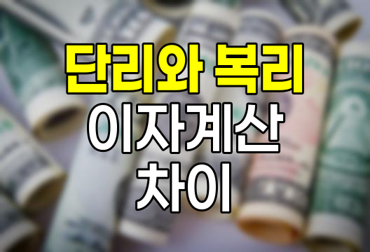 단리와 복리의 핵심 차이와 장기 투자 전략