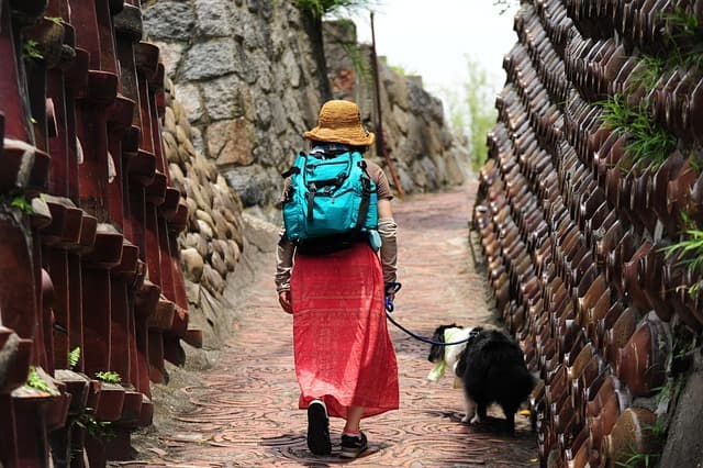 갱년기 증상과 원인-유산균: 자연스럽게 극복하는 건강 관리법