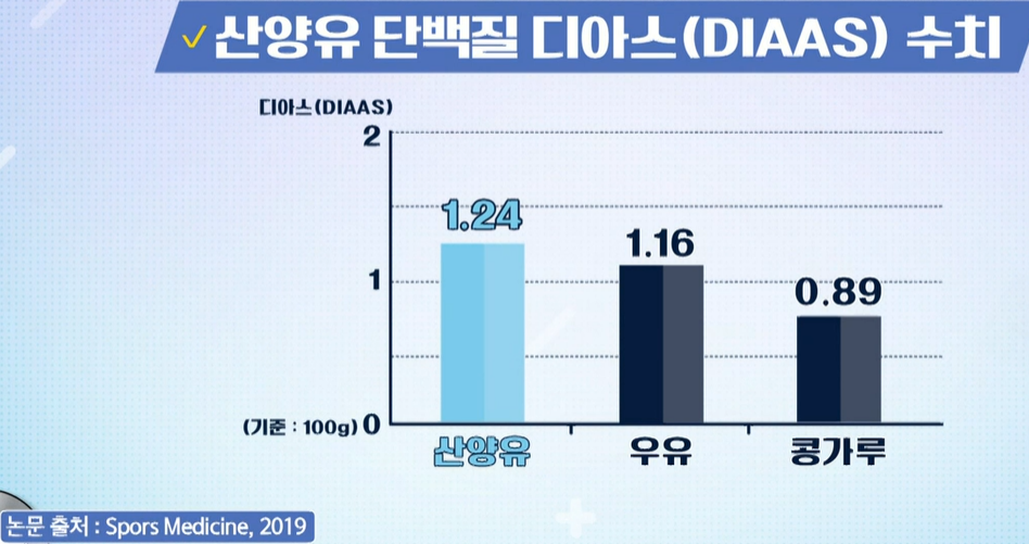산양유 단백질 효능