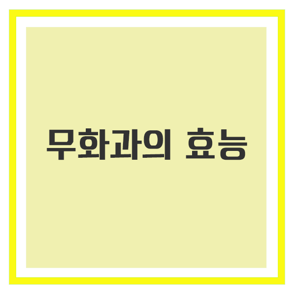 무화과 효능, 달콤한 과일이 주는 건강 선물