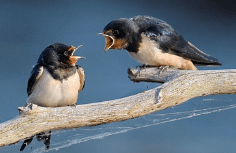 직장 동료와 다투는 꿈