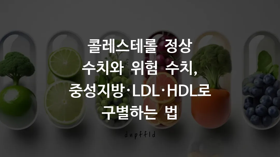 콜레스테롤 정상 수치와 위험 수치, 중성지방·LDL·HDL로 구별하는 법