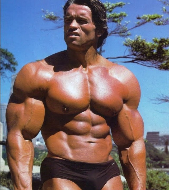 근육질 몸의 아놀드 모습