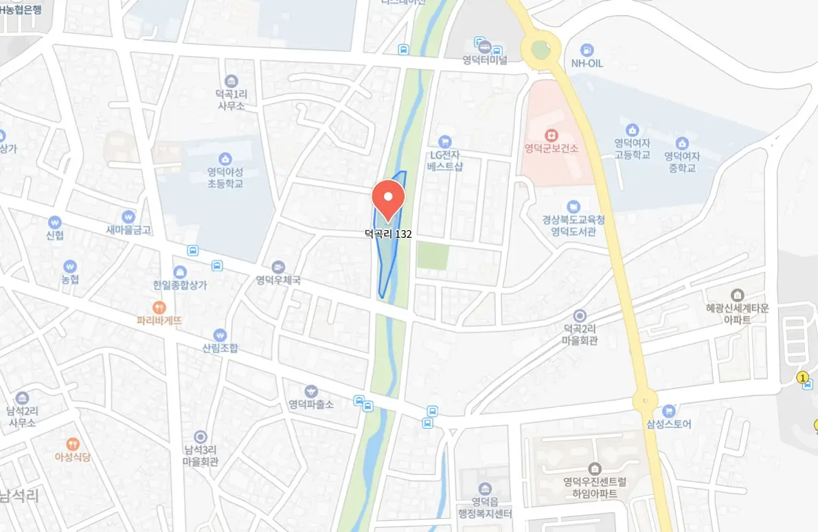 영덕업사이클링아트페스타